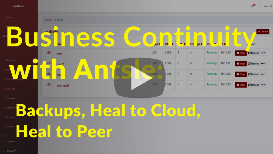 Business Continuity with Antsle: Backups, Heal to Cloud, Heal to Peer